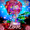 Galaxy Forever Rose – A Stunning Symbol of Love